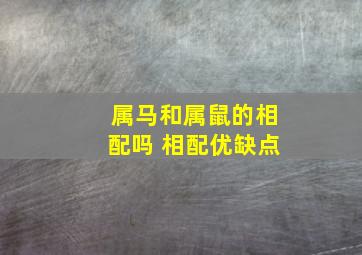 属马和属鼠的相配吗 相配优缺点